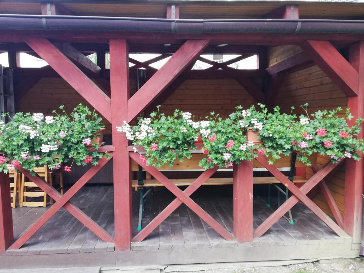 Apartament Roza Braşov Eksteriør billede