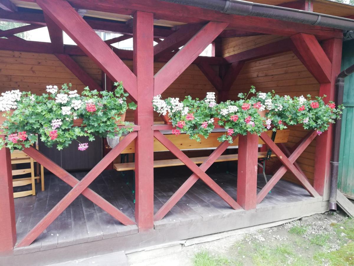 Apartament Roza Braşov Eksteriør billede