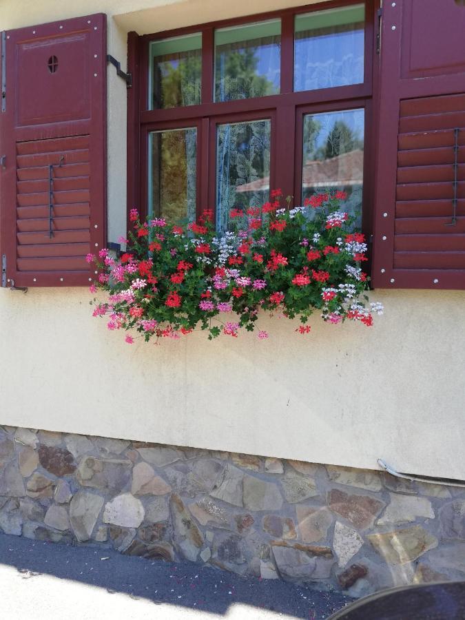 Apartament Roza Braşov Eksteriør billede