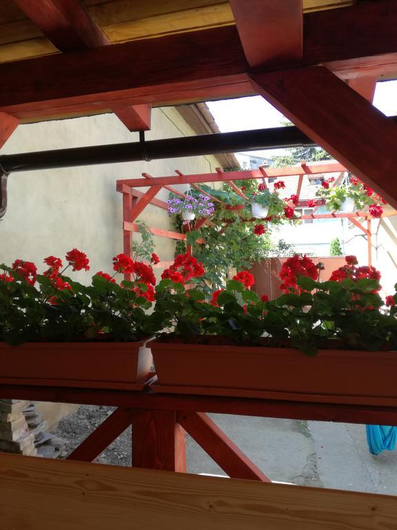 Apartament Roza Braşov Eksteriør billede